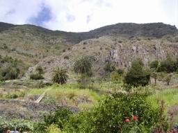 Resize of P21010147.JPG